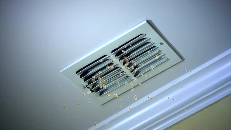 HVAC System Cleaning in CO