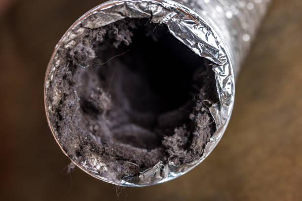 Professional Airduct Cleaning in CO